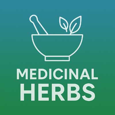 Herbs Like Medicine - Medicinal Herbs